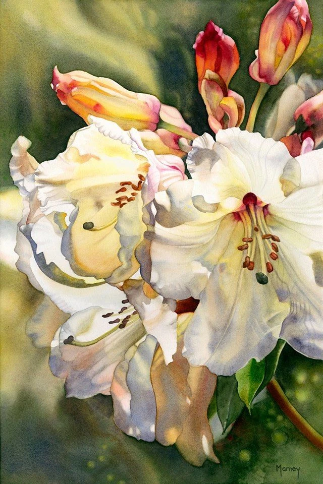 Канадская художница Marney Ward