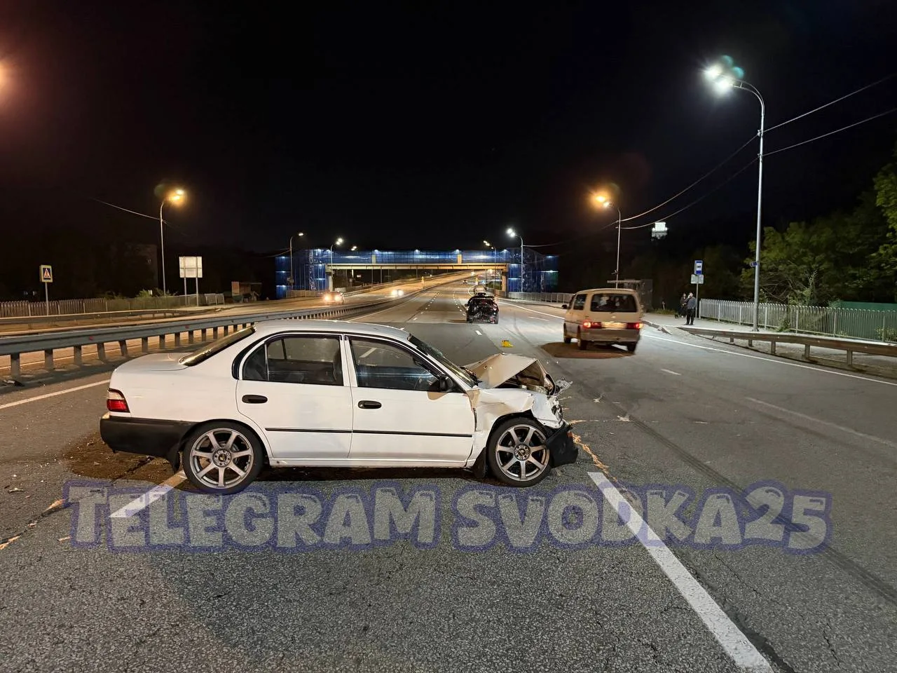 Во Владивостоке на Маковского произошло жесткое тройное ДТП, в котором погибла собака — водитель Кор