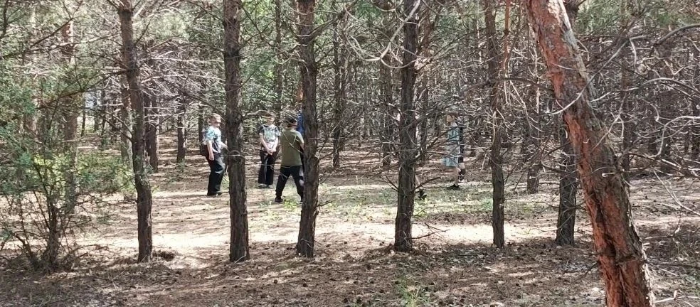 Конец учебного года — время, когда и дети, и взрослые об одном: сбросить груз забот и о...