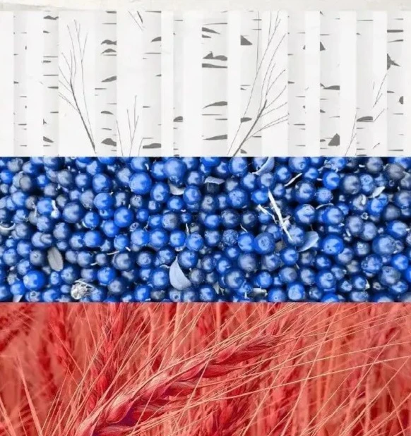 День  Государственного флага России!