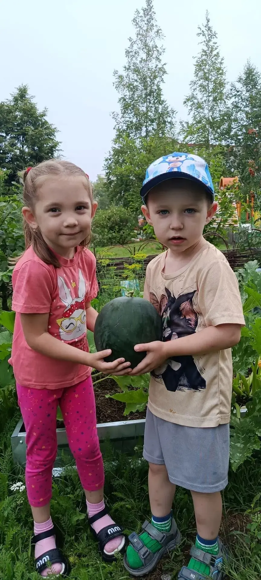 🥒 🍉  Сезон больших открытий! В нашей ЭкоЛаборатории начался сбор урожая!