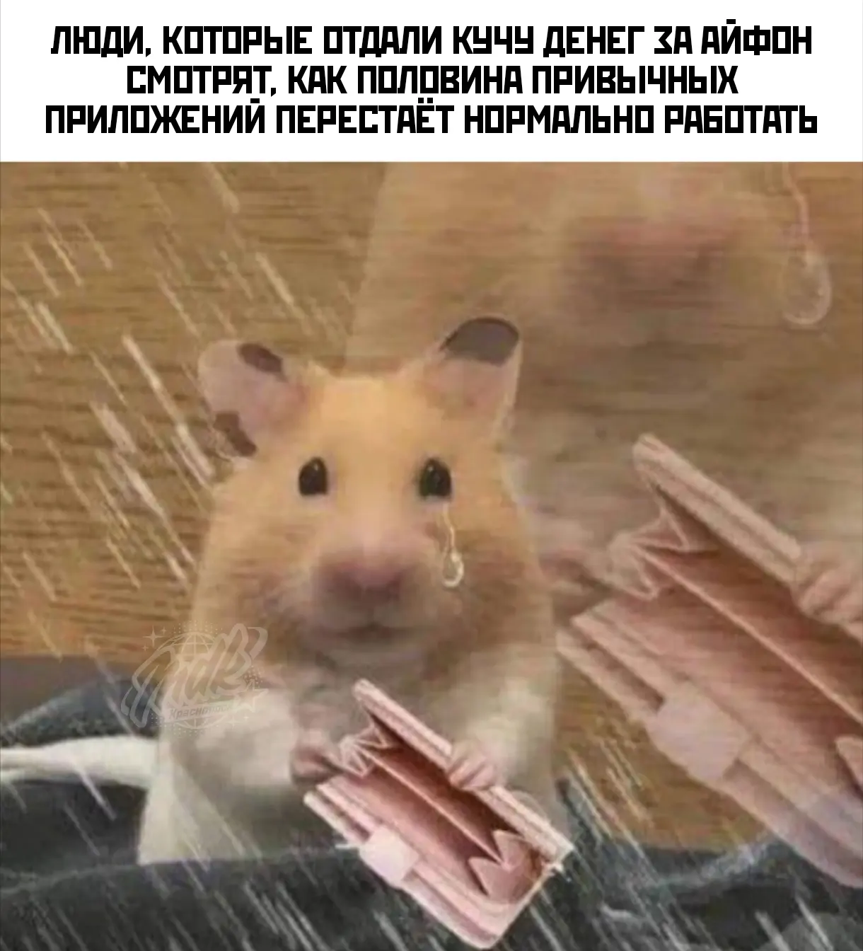 И врагу не пожелаешь 🤔

MDK Красноярск 👉 подпишись
