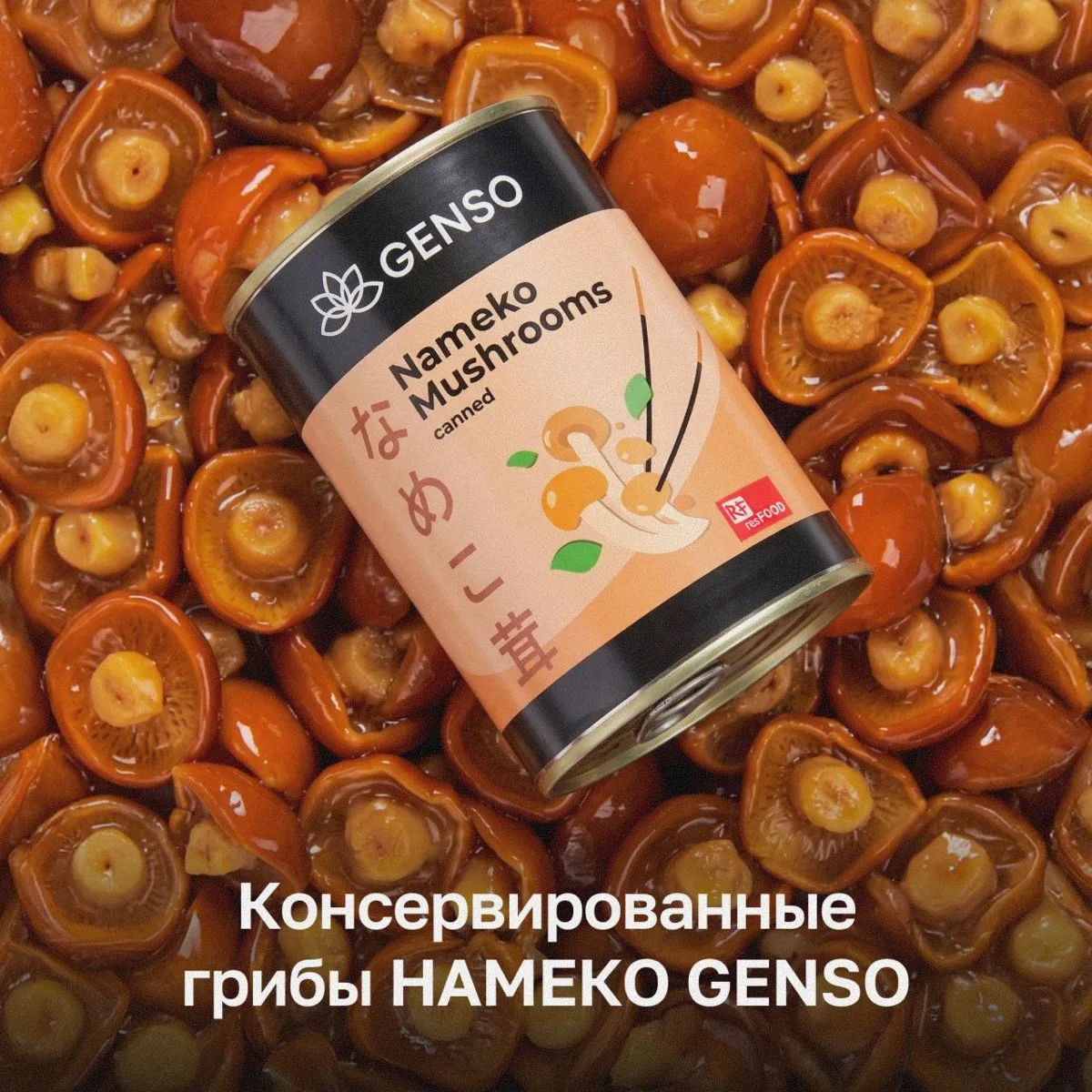 Что стоит учесть при работе с Намеко?