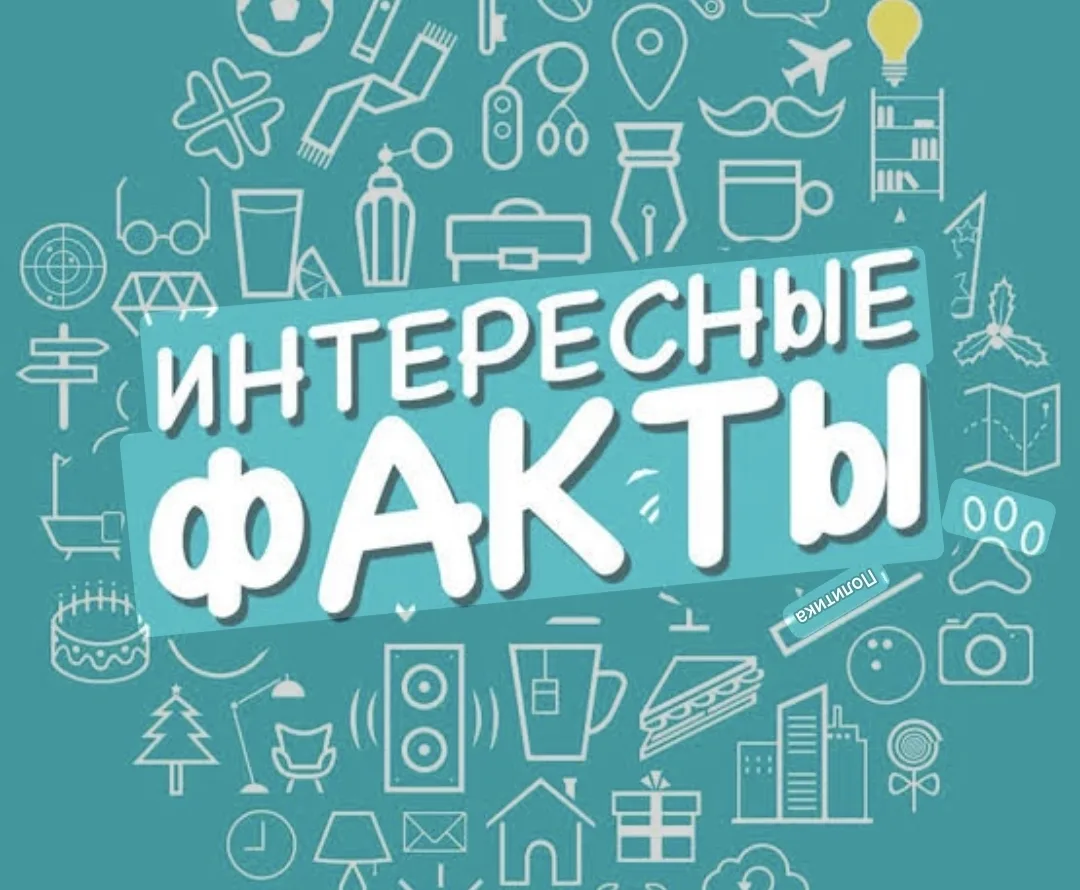 ПЯТНИЦА, ЛЕТО, ГОЛОВА ИДЕТ КРУГОМ? 🤯

Доброе утро школа! Сегодня не просто пятница. Сегодня пятый д