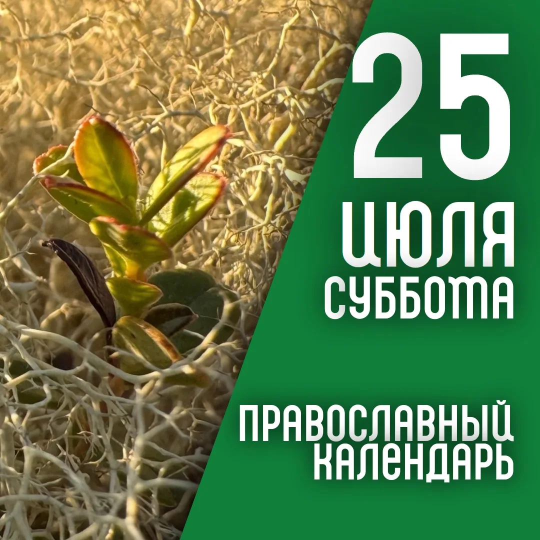 Календарь дня