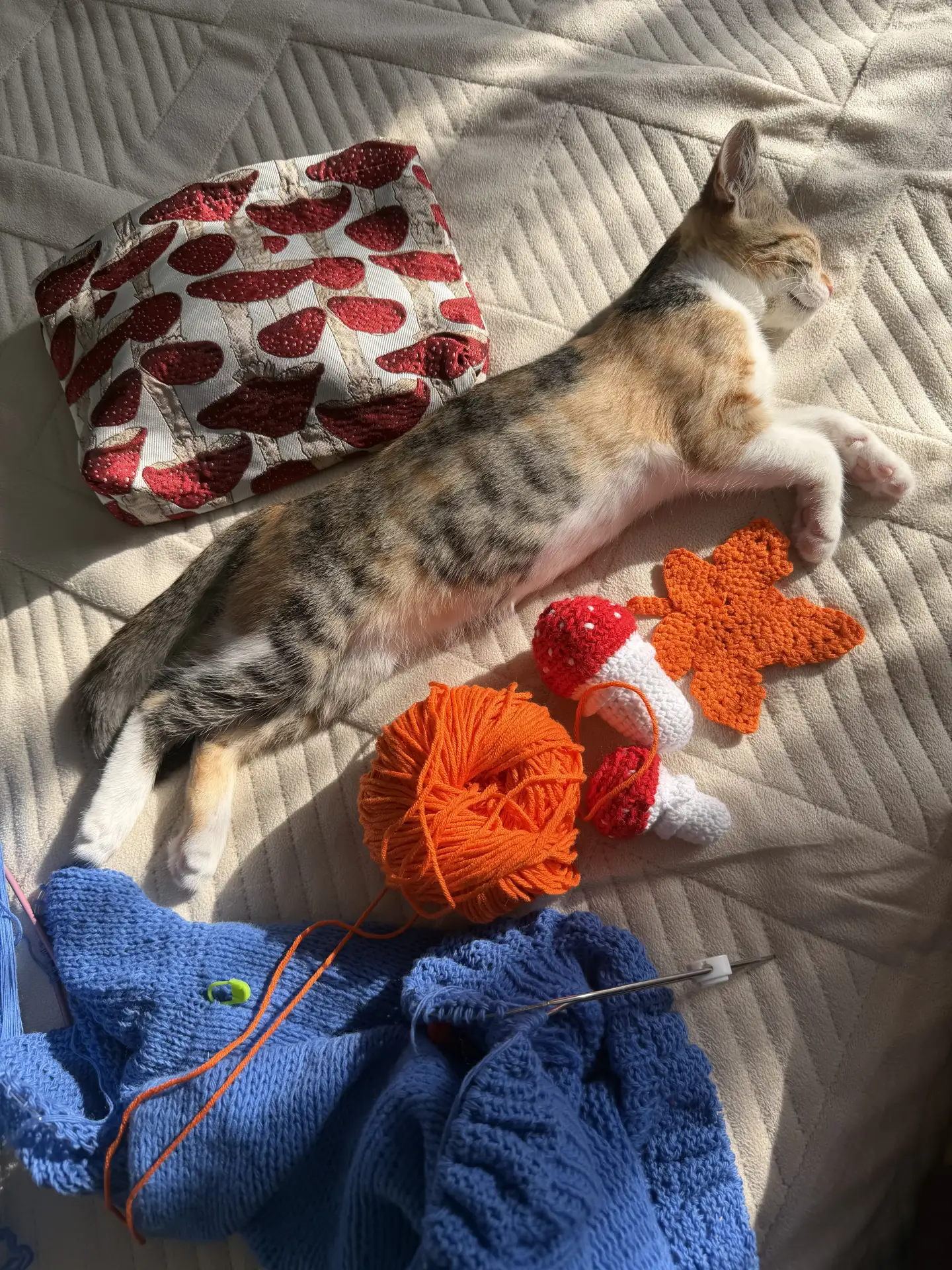Милота и вязание 🧶 😍
