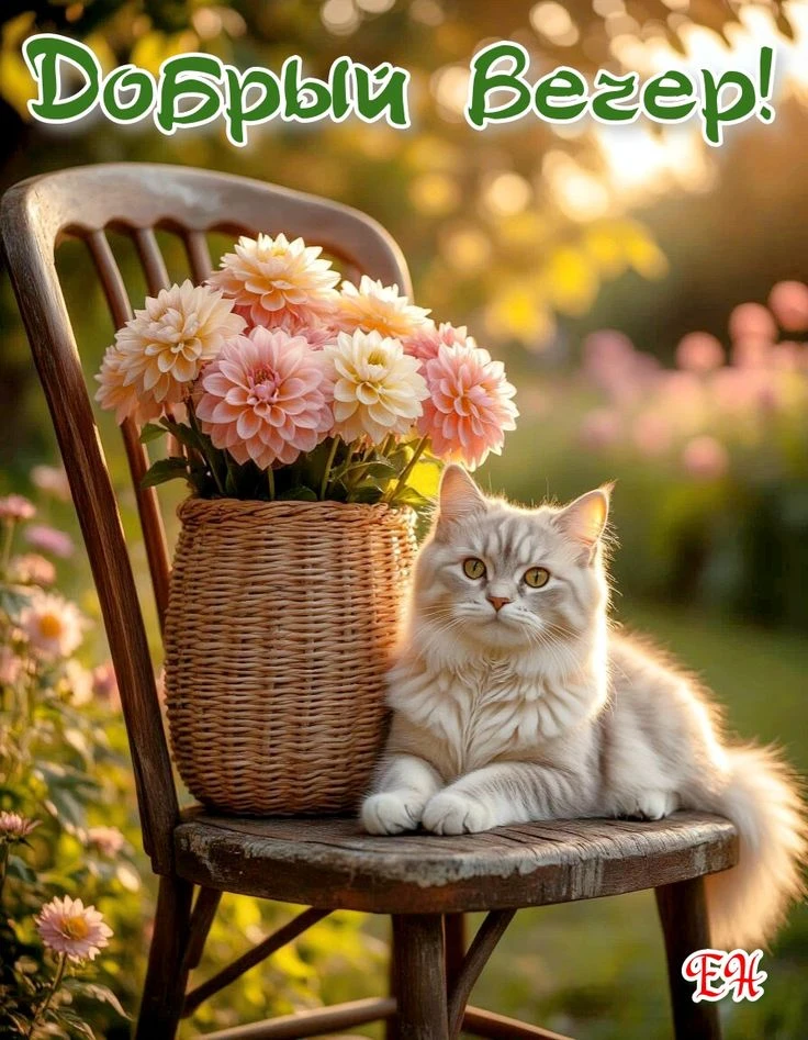 Хорошего вечера! Приятного отдыха! ✨💐