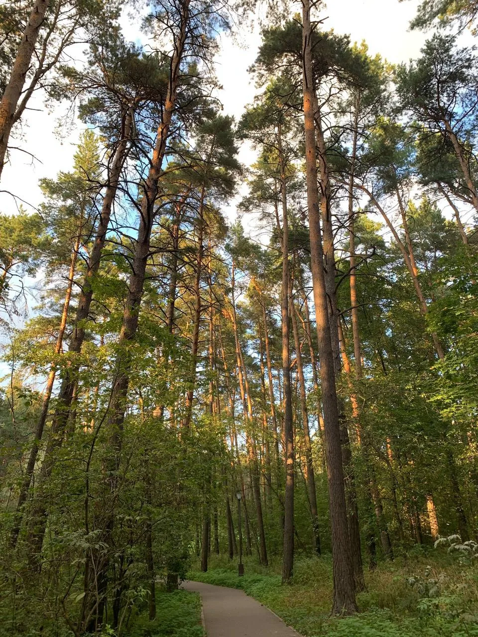 🌤 Доброе утро, Серпухов!