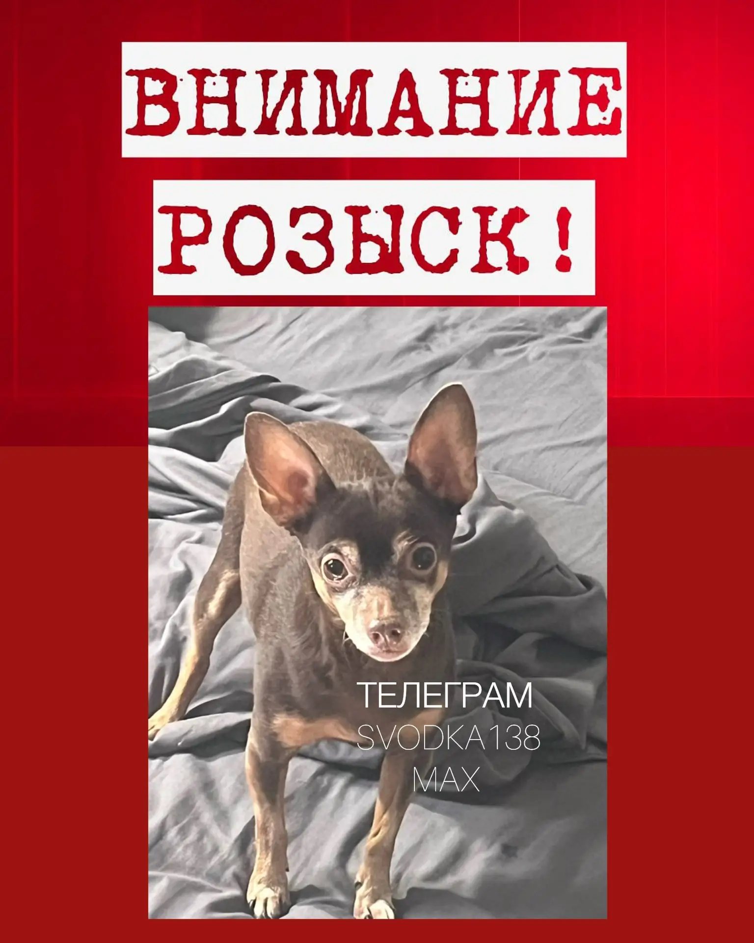 ⚠️❗️ОТ ПОДПИСЧИКА SVODKA138: