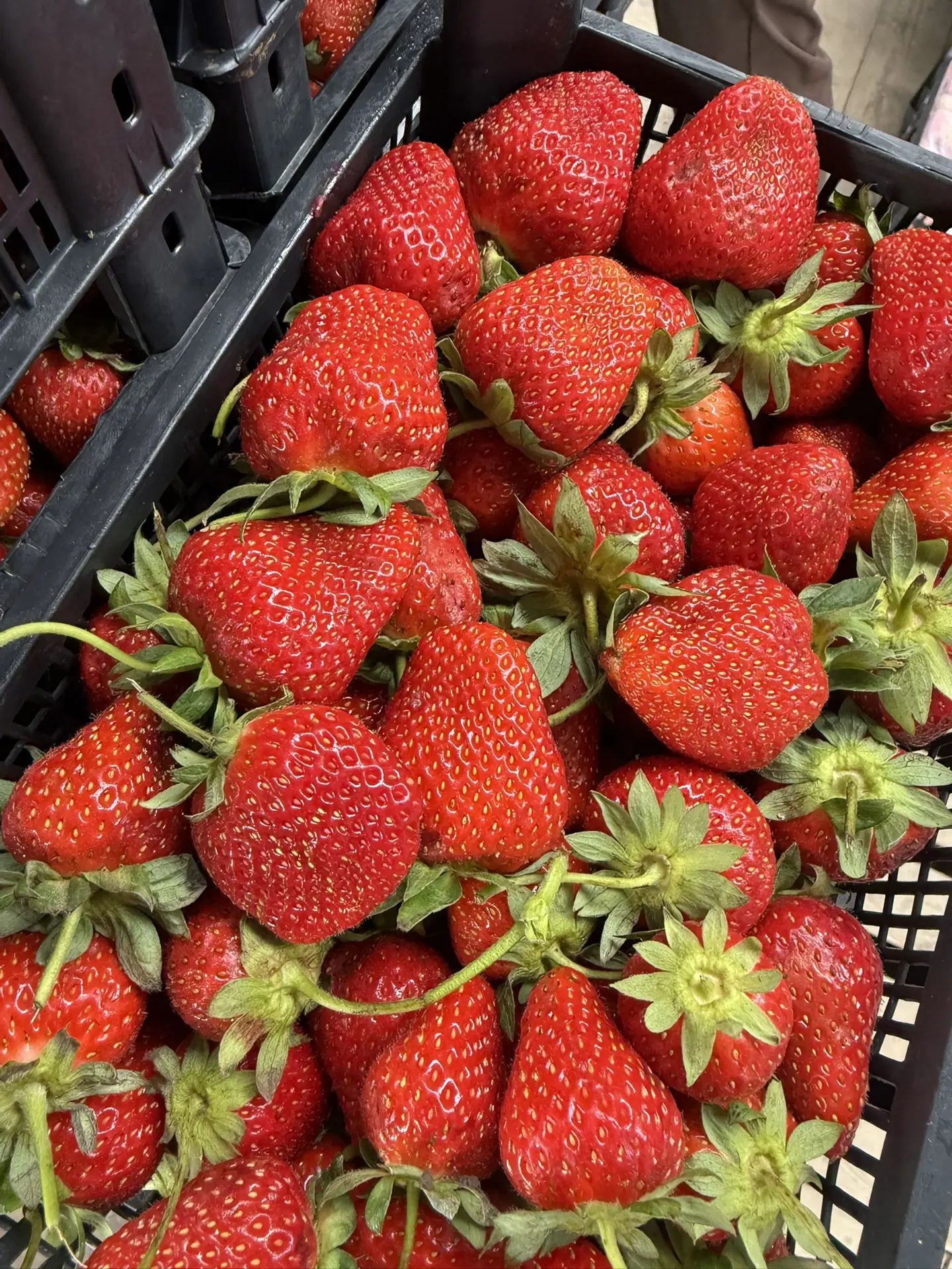 СВЕЖЕЕ ПОСТУПЛЕНИЕ 15.06.26

🍓КЛУБНИКА АЗЕРБАЙДЖАНСКАЯ
▪️1000₽ ящик +-2кг

🍒ЧЕРЕШНЯ КИРГИЗИЯ
▪️160
