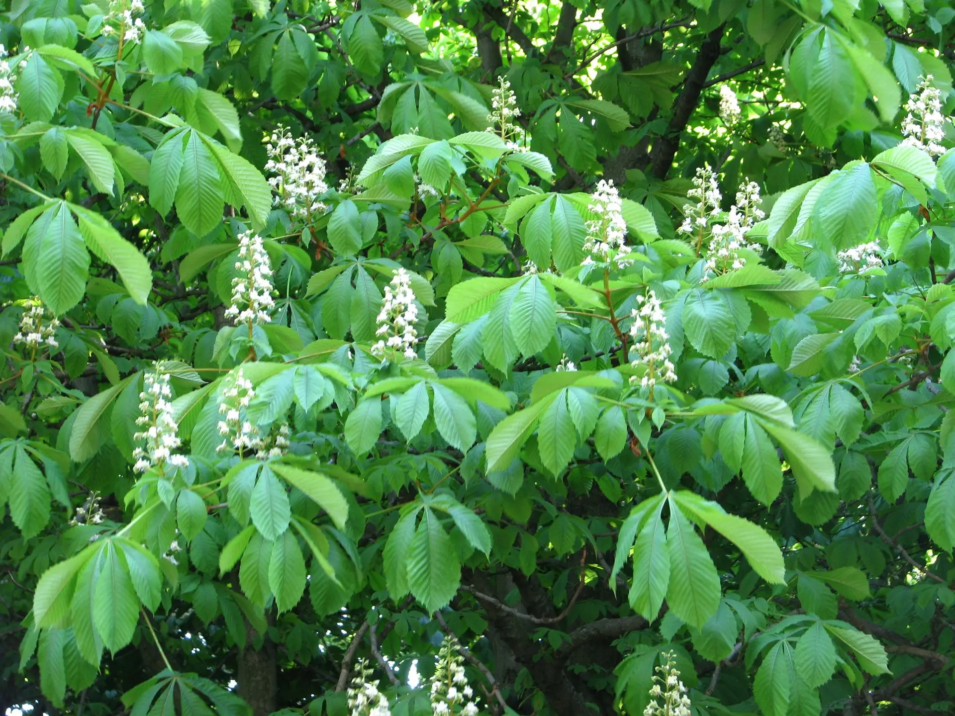 Поздравляем с Международным днём парков! 🌳
