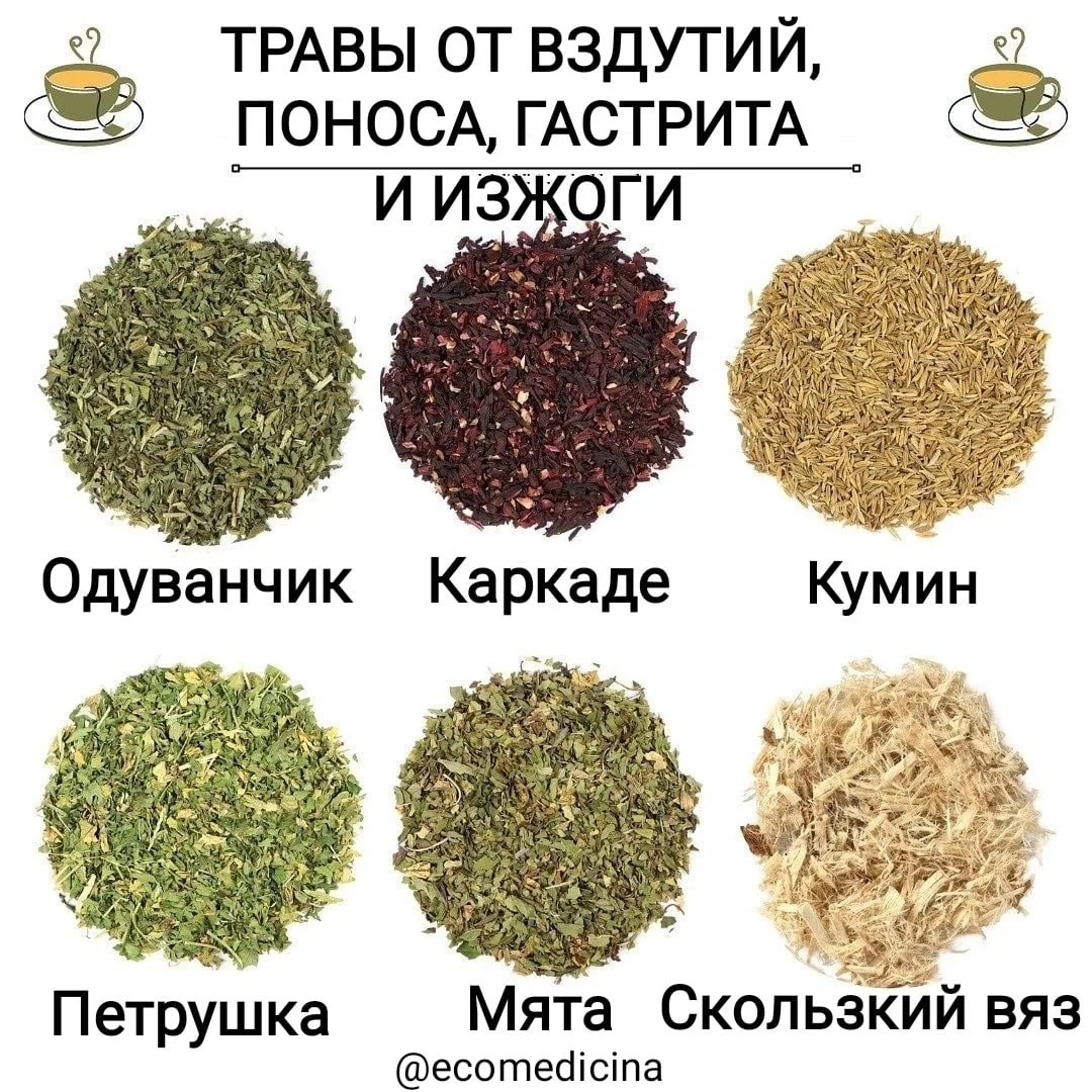 ☕🌿ТРАВЫ ОТ ВЗДУТИЙ, ЗАПОРОВ, МЕТЕОРИЗМОВ

Вздутие живота? Запор? Расстройство желудка? Для этого ес