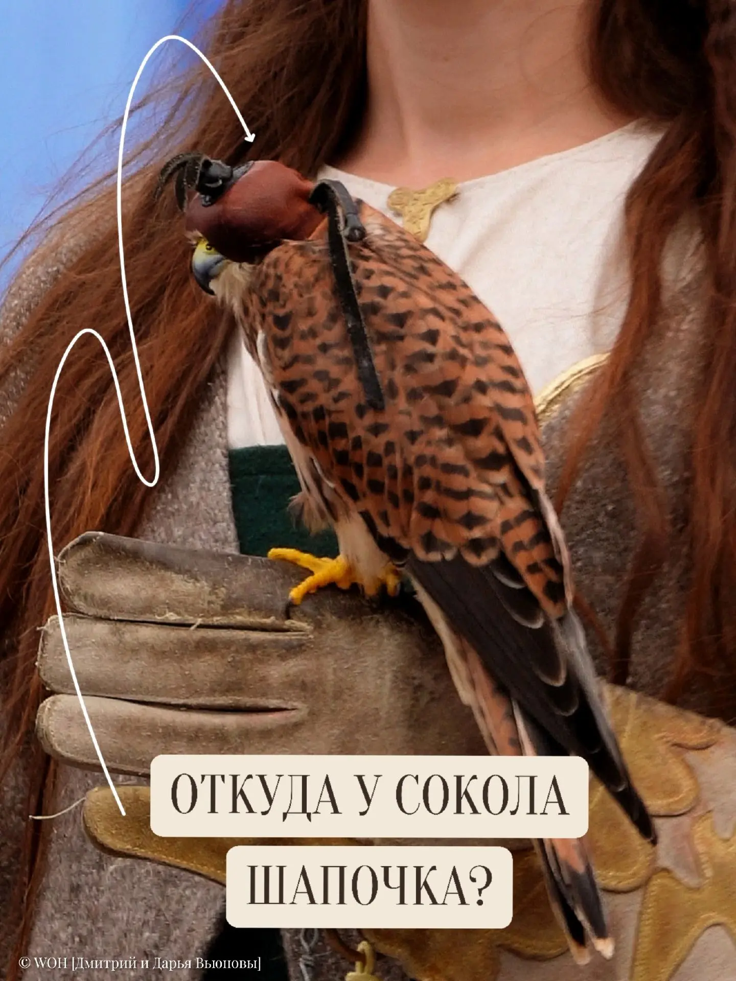 Как у сокола появилась шапочка на глаза?