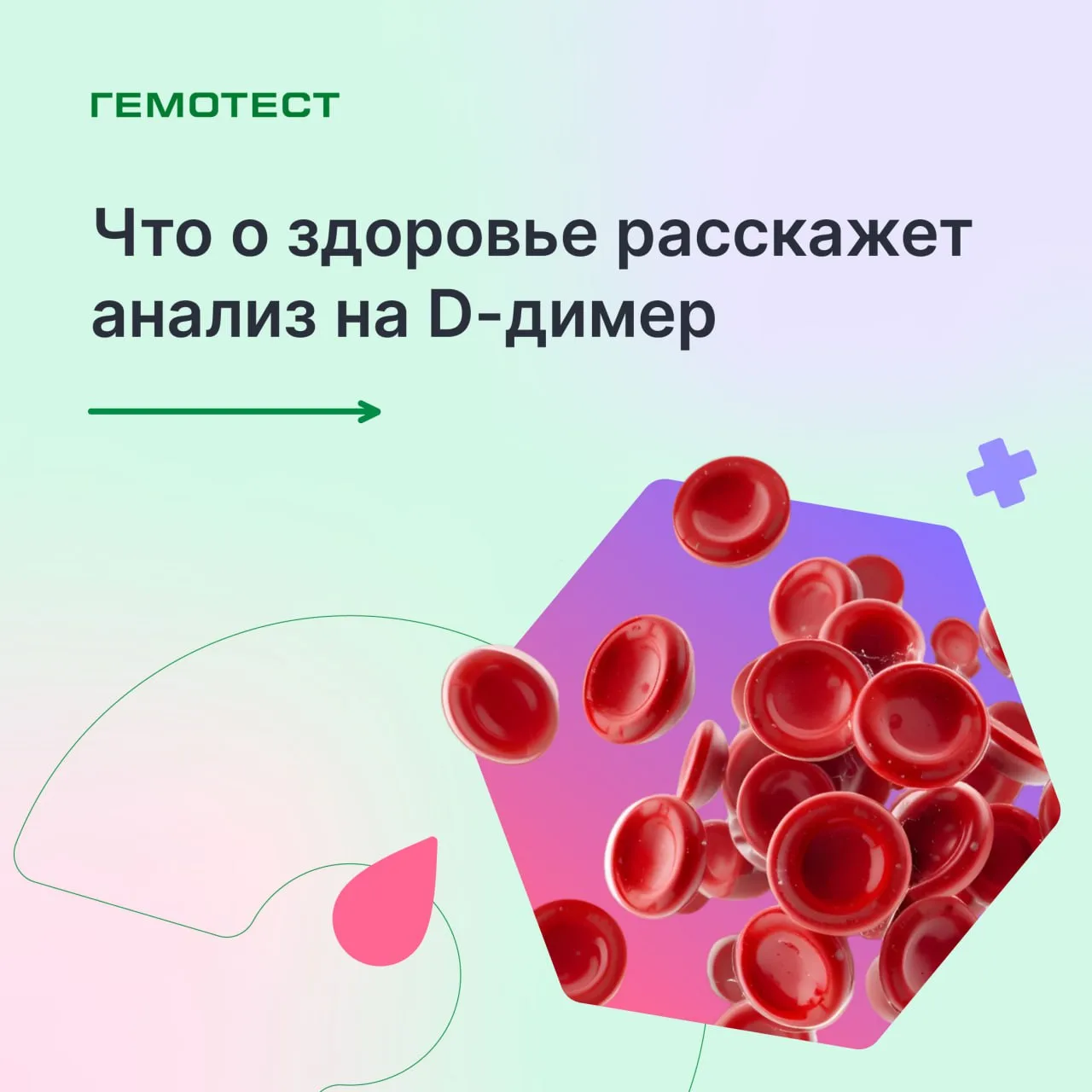 Что о здоровье расскажет анализ на D-димер