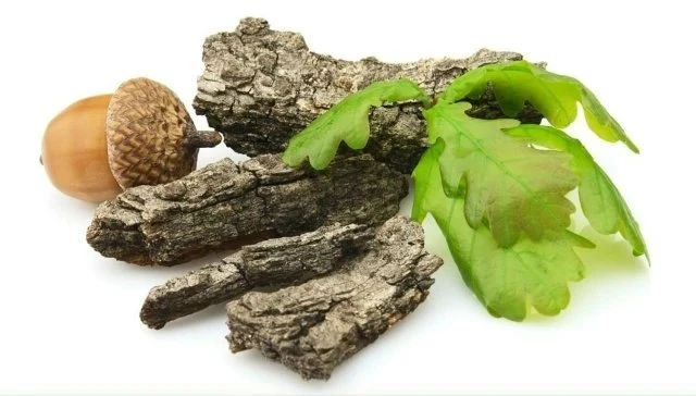 Кора дуба: природный антисептик и защитник здоровья 🌿

Кора дуба — одно из самых известных лекарств