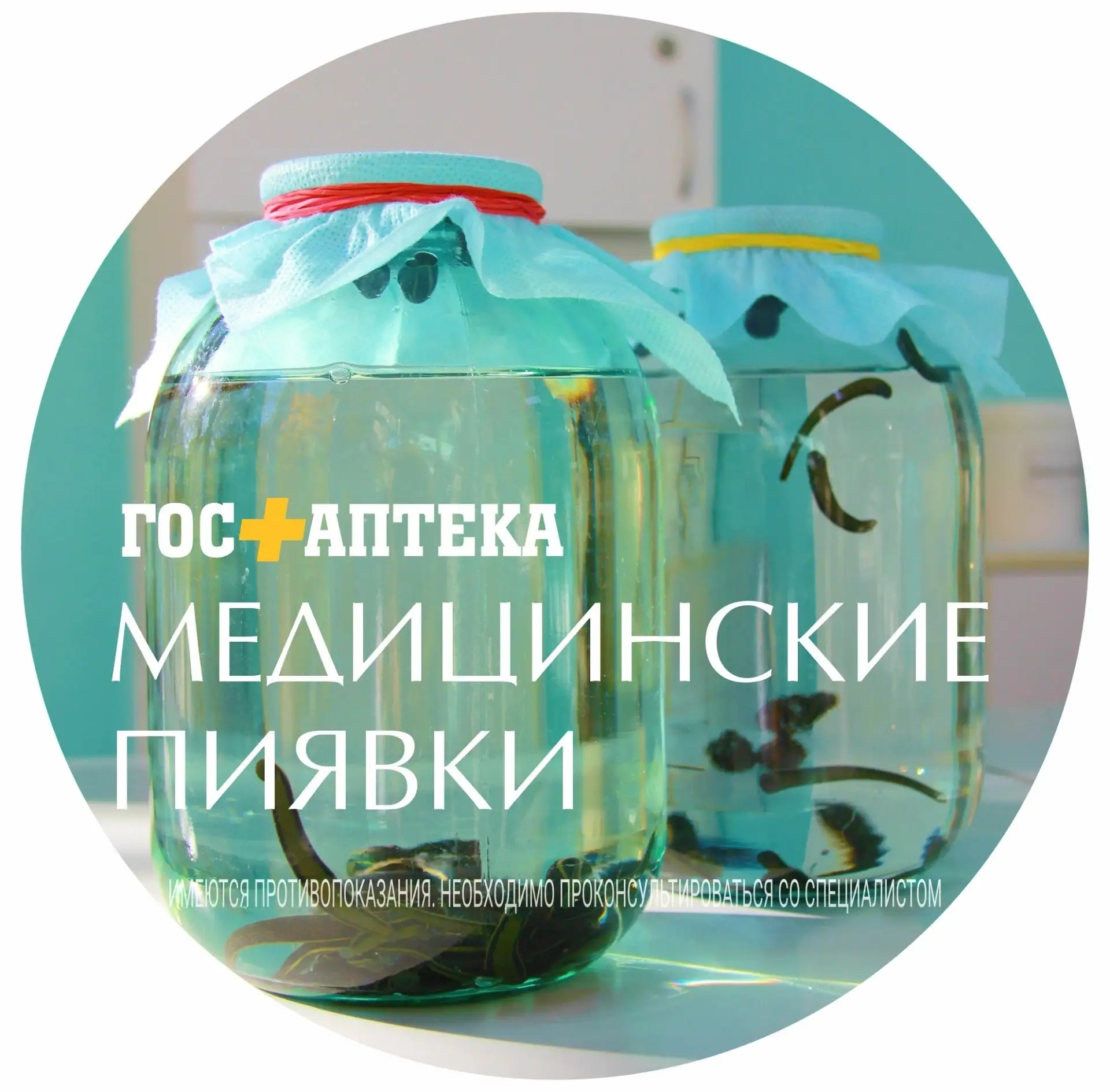 Пиявки — это натуральный и безопасный метод, который помогает при лечении различных заб...