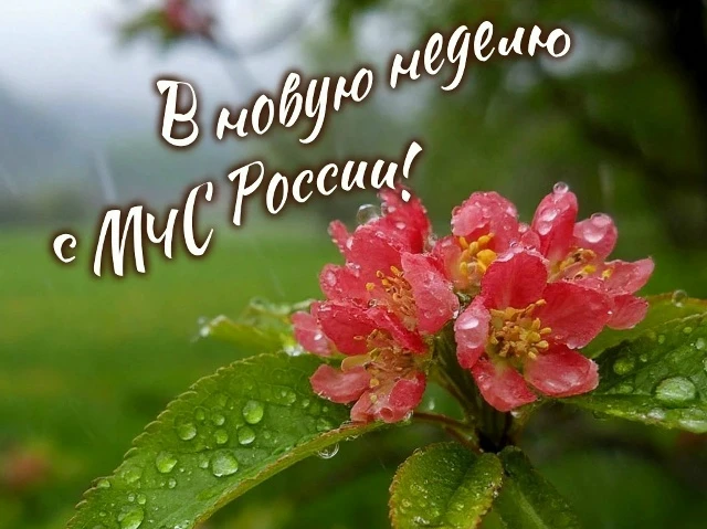 #ВновуюнеделюсМЧСРоссии

Доброго понедельника! Будьте внимательны к себе, близким и тому, что происх