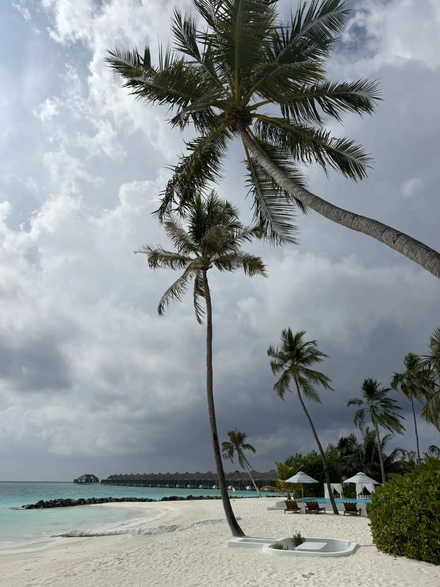 Улетела в мечту 🏝️