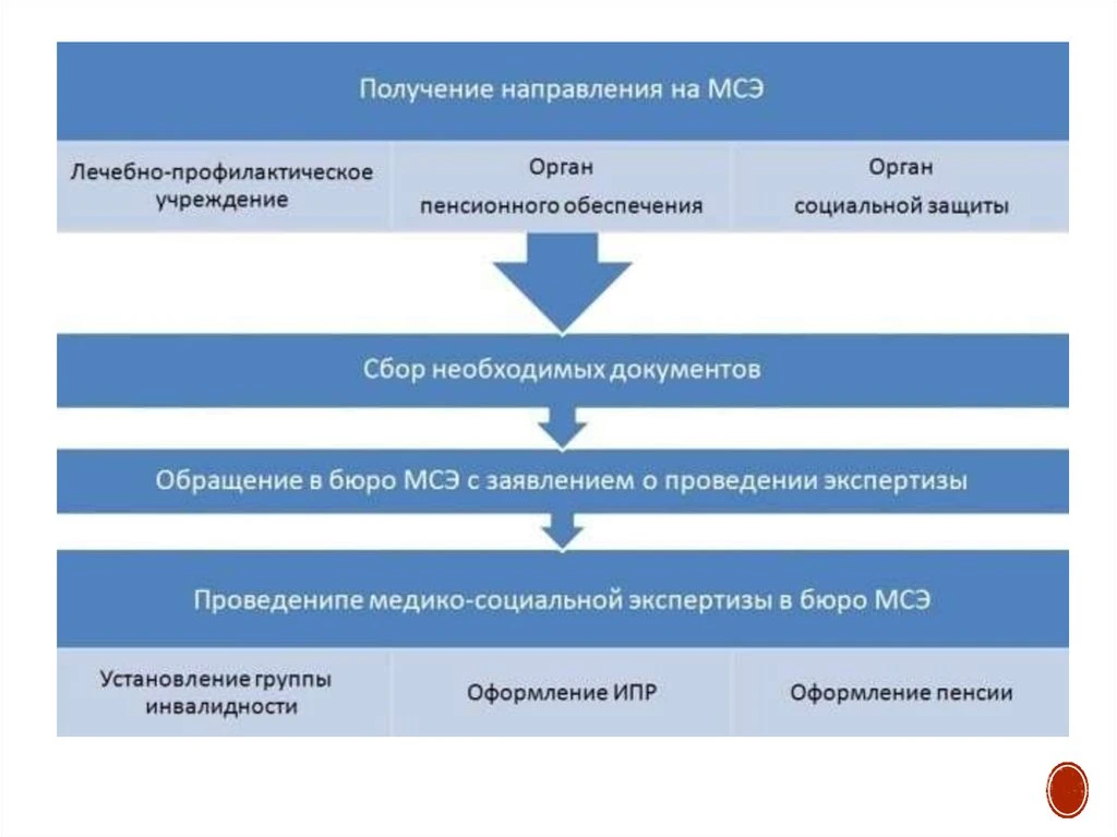 Если отказали в направлении на МСЭ: какие шаги предпринять 📄

Медико-социальная экспертиза проводит