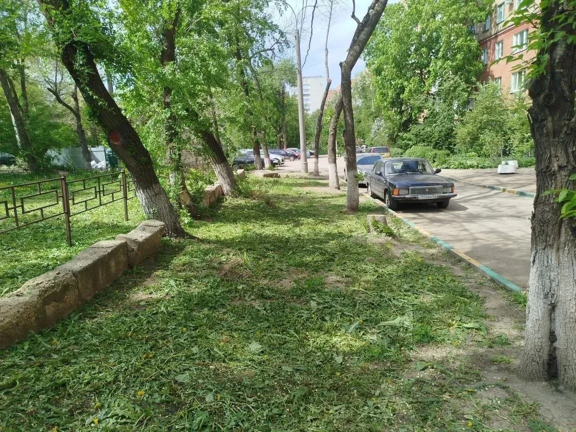 🌿 Сезонный покос травы — ул. Ново-Садовая, дом 30