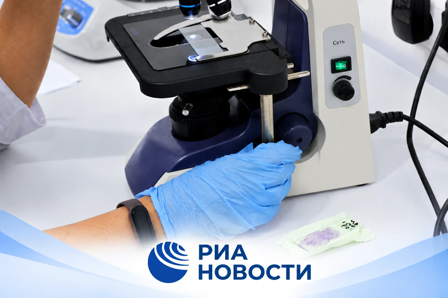 Россия может конкурировать с Израилем в производстве бета-каротина 🔬
