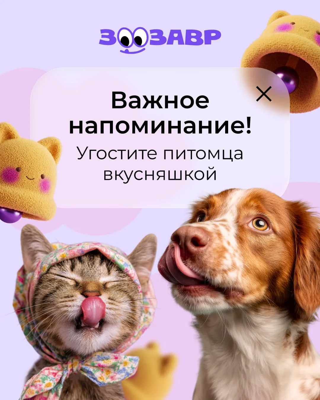 На ваш телефон пришло новое сообщение  🐱🐶: «жду дома с влажным кормом Roybis vk.cc/cWo2gN »