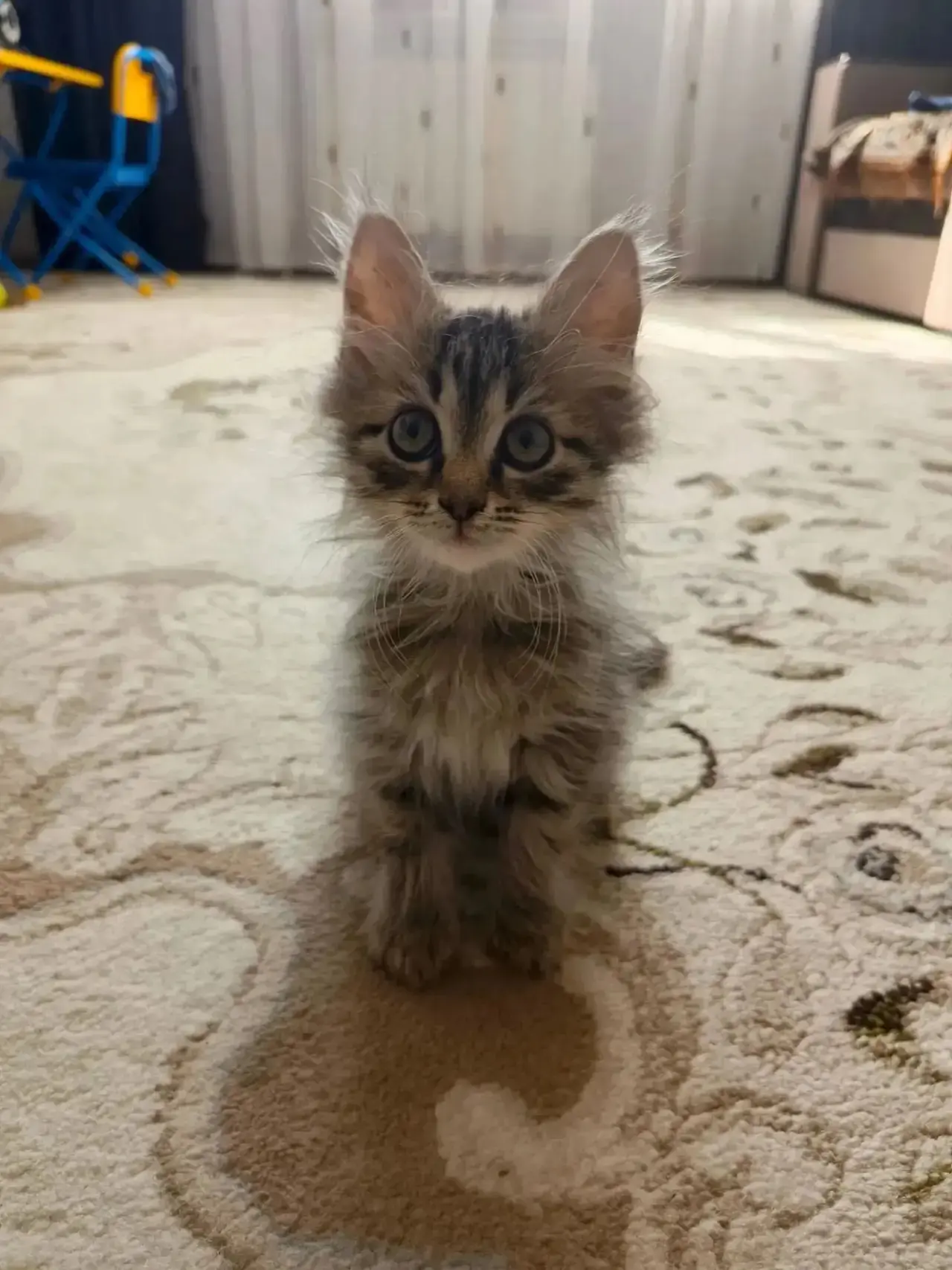 Девочка🎀