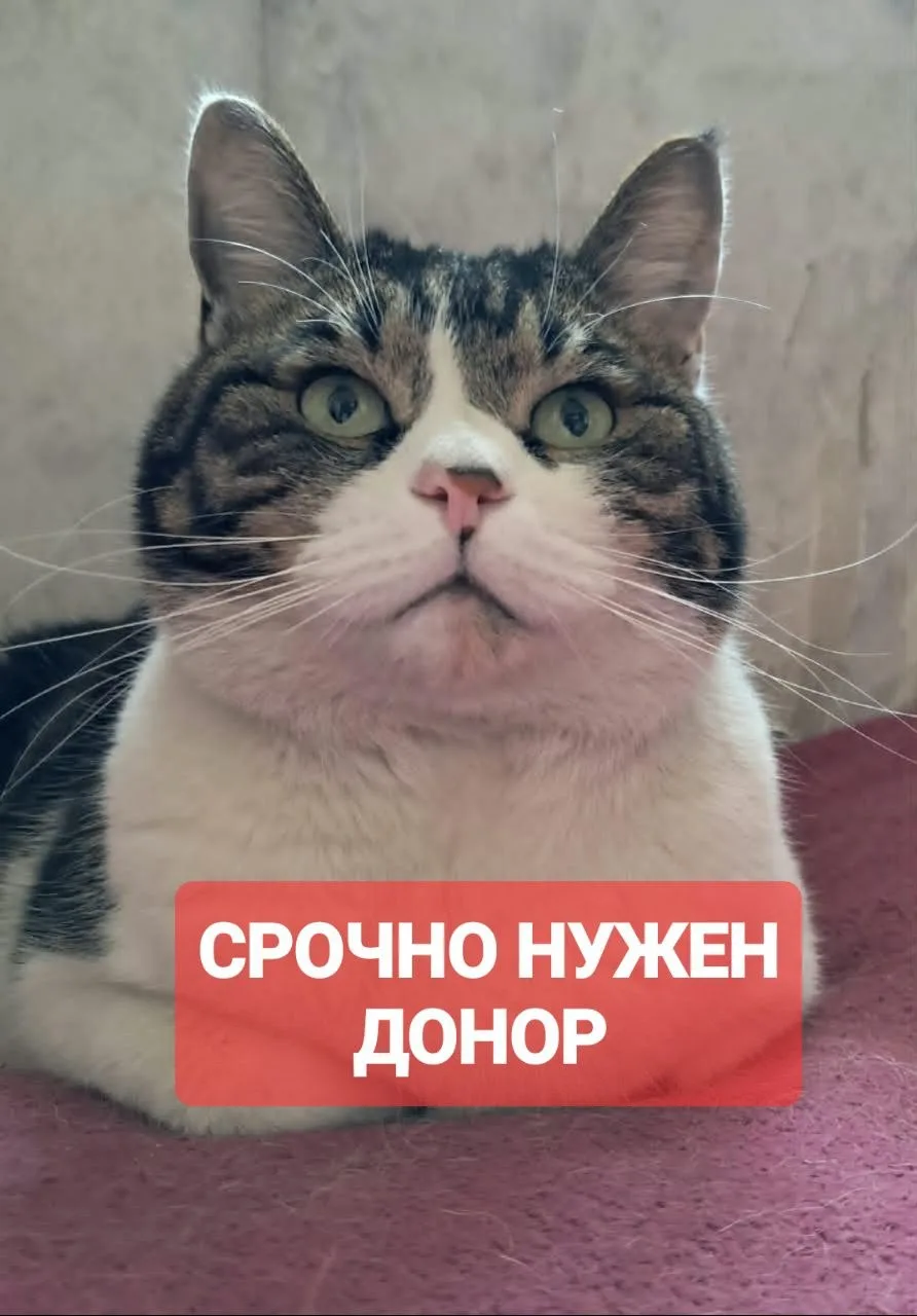 🆘 ВЛАДИВОСТОК