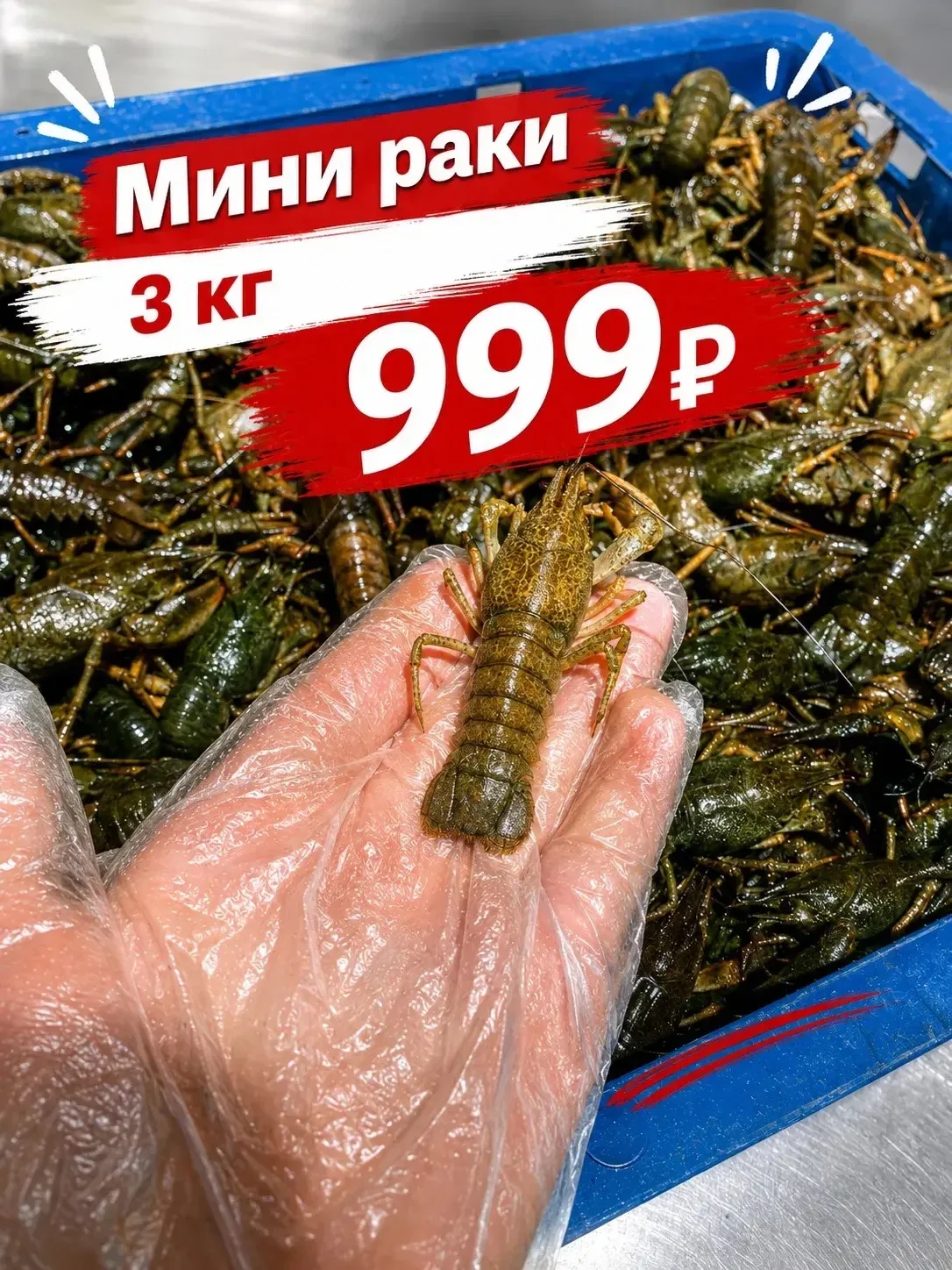 В наличии живые мини раки