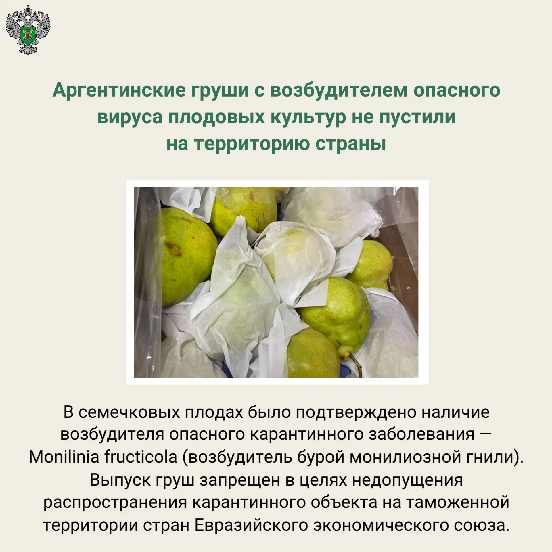 🔗 Подробнее на сайте