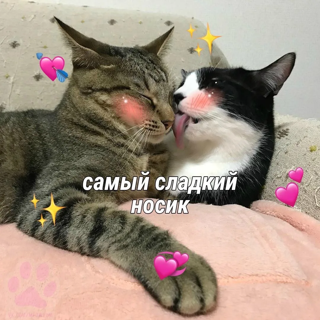 💏 Сегодня — День поцелуев

Перешлите тому, кого хотите прямо сейчас поцеловать