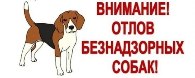 📢 Внимание, жители посёлка Мохсоголлох!
