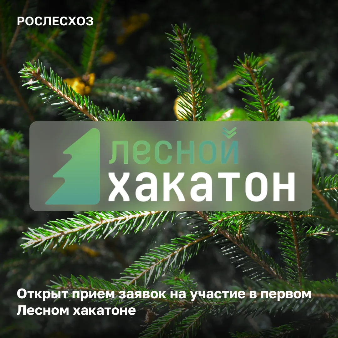 🌲 Стартовал прием заявок на участие в Лесном хакатоне - первом конкурсе по цифровизаци...