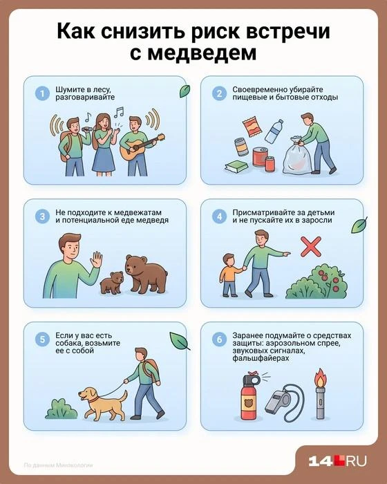 Что делать, если вы идете в лес или уже встретили медведя.⬆️