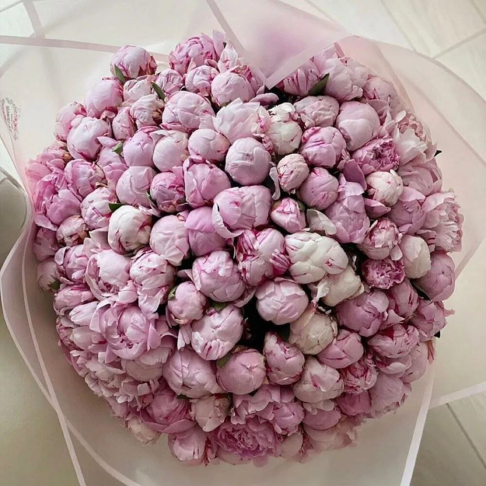 Пионы «Сара Бернар» в наличии! 🌸