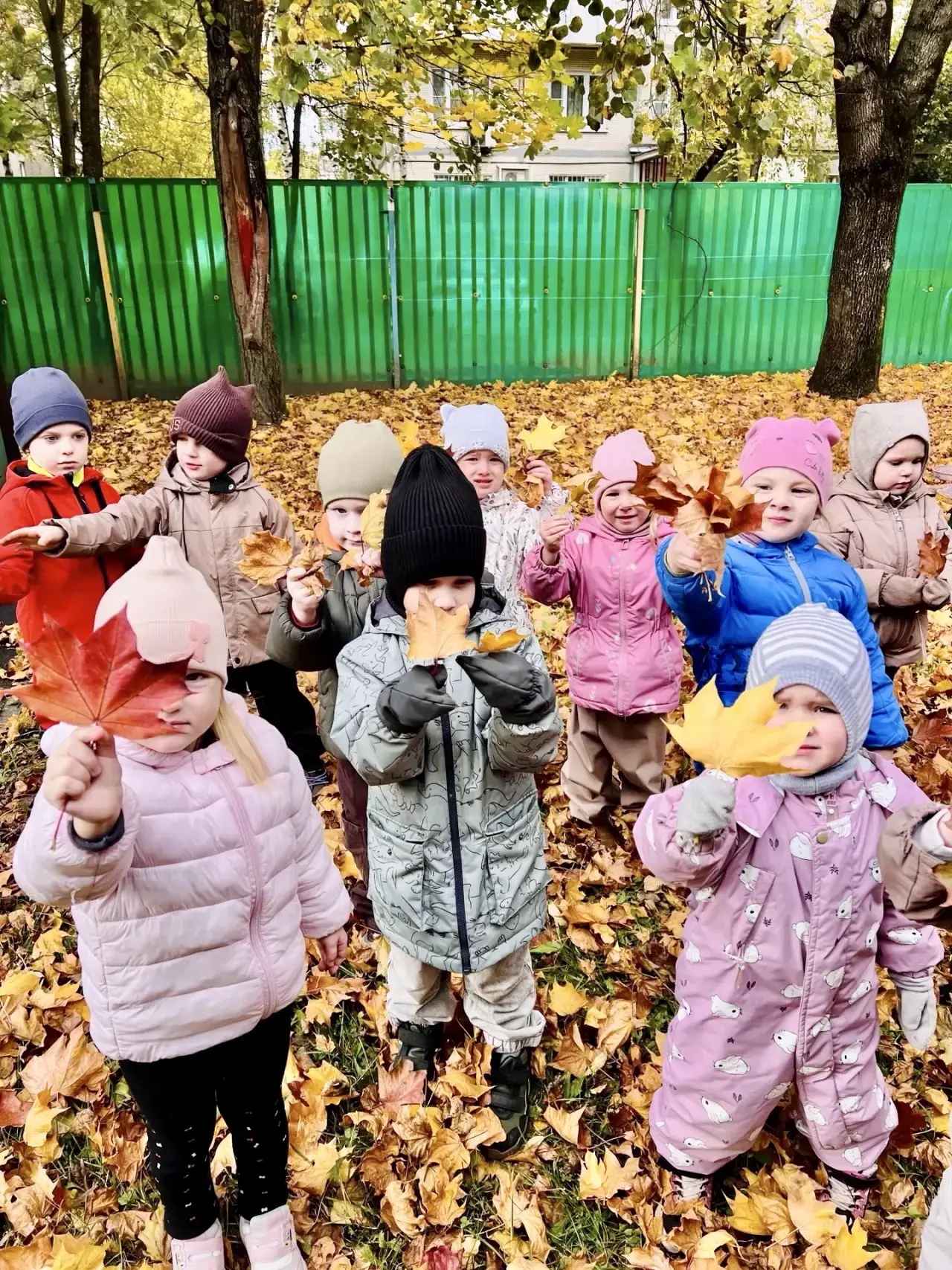 😊Осень пришла! Без красок и без кисти и перекрасила все листья