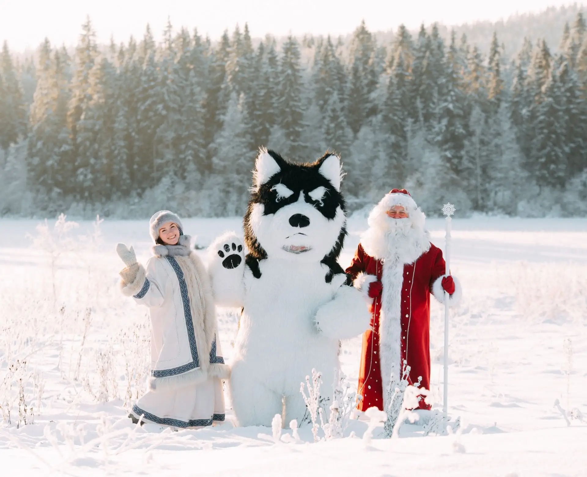 ❤️ 🎅  "Новогодние хиты Карелии из Петербурга", автобусный тур на 5 дней из Санкт-Петер...