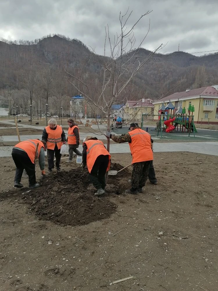 Работы в городе  🍁 Участок озеленения «Обслуживающего учреждения» приступил к посадке деревьев в скв