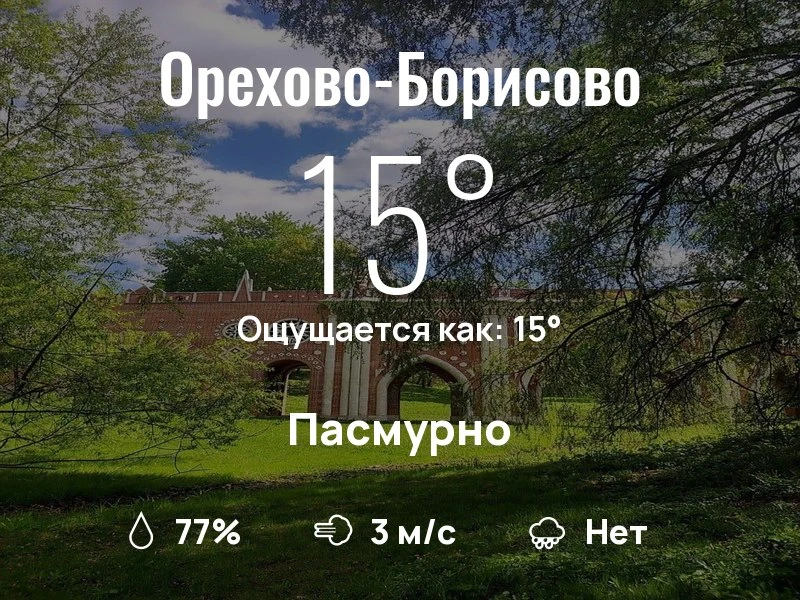 Что с погодой в Орехово-Борисово?