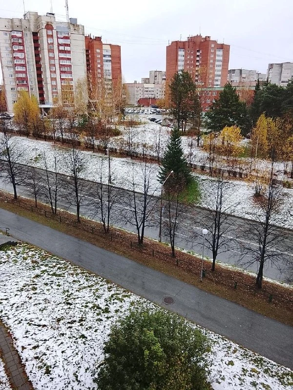В Свердловской области ожидается резкое ухудшение погоды: 3 и 4 октября местами пройдут...