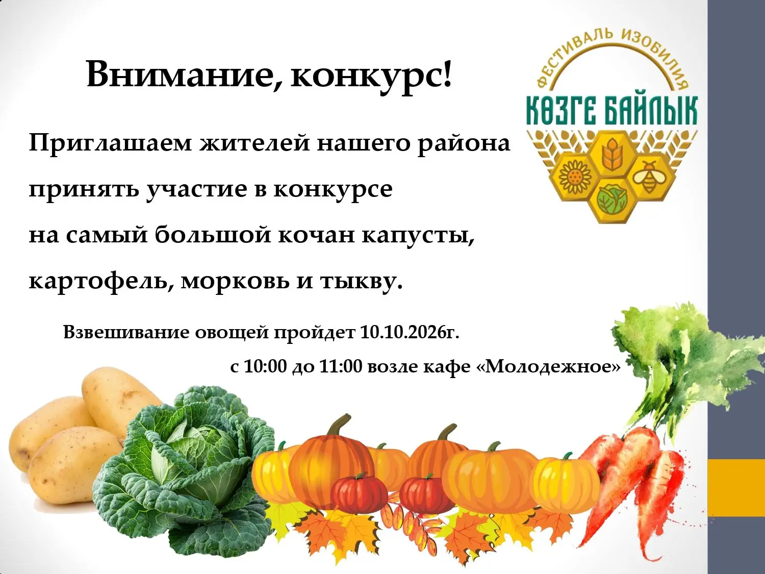 #Бураево#Борай
