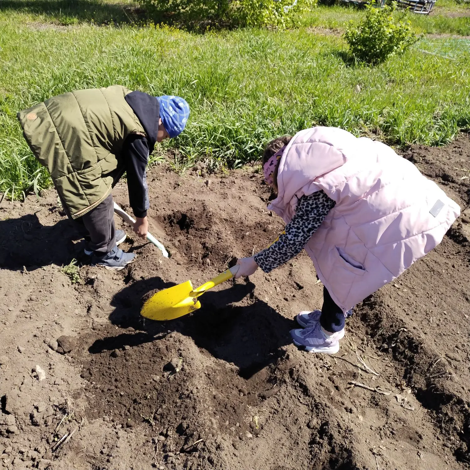 Огород с детьми - это отличный способ познакомить их с природой и привить любовь к труд...