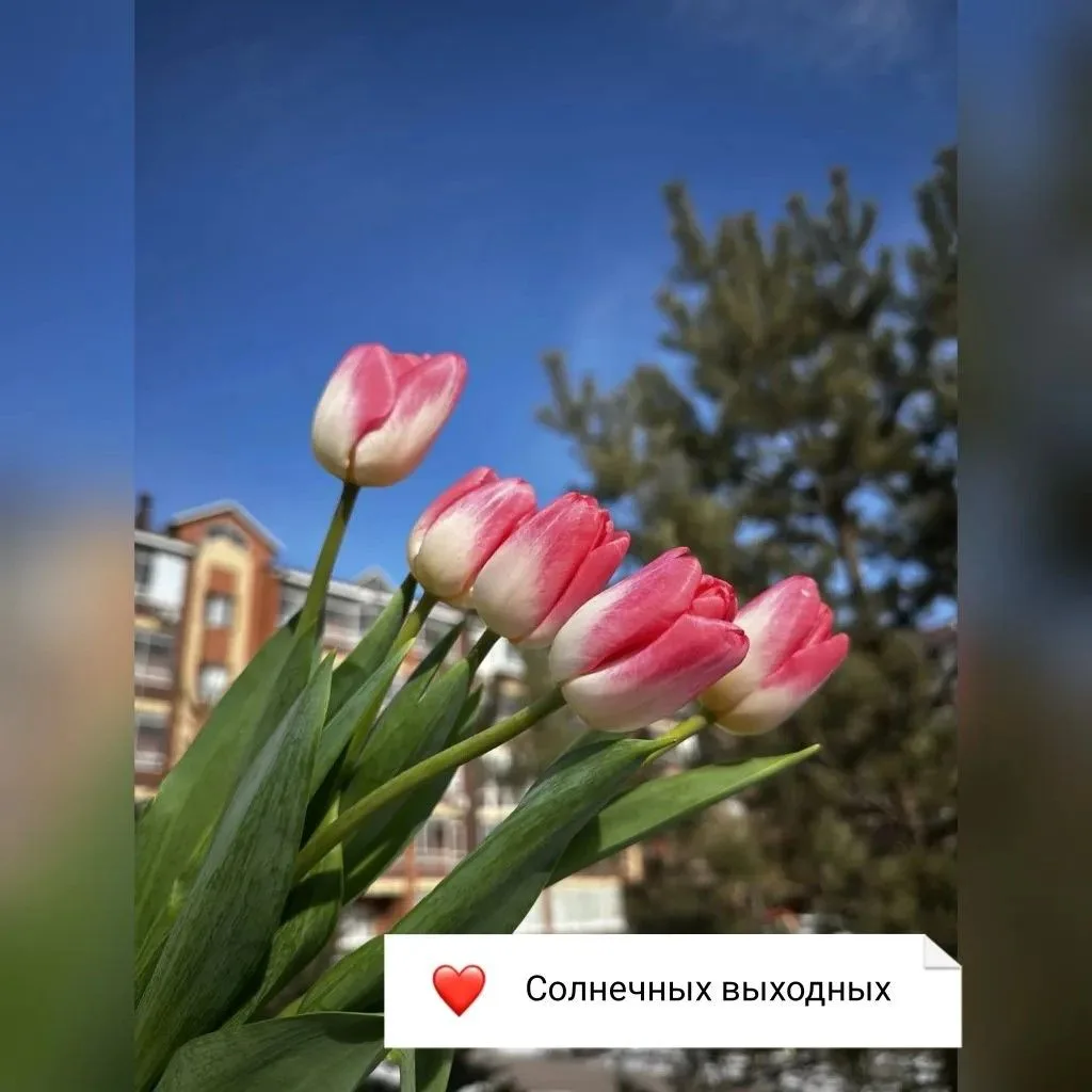 ☕️ Добрый день, MAX!