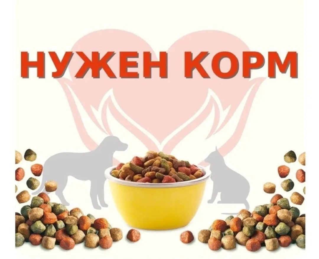 📣 Дорогие друзья! 🌼