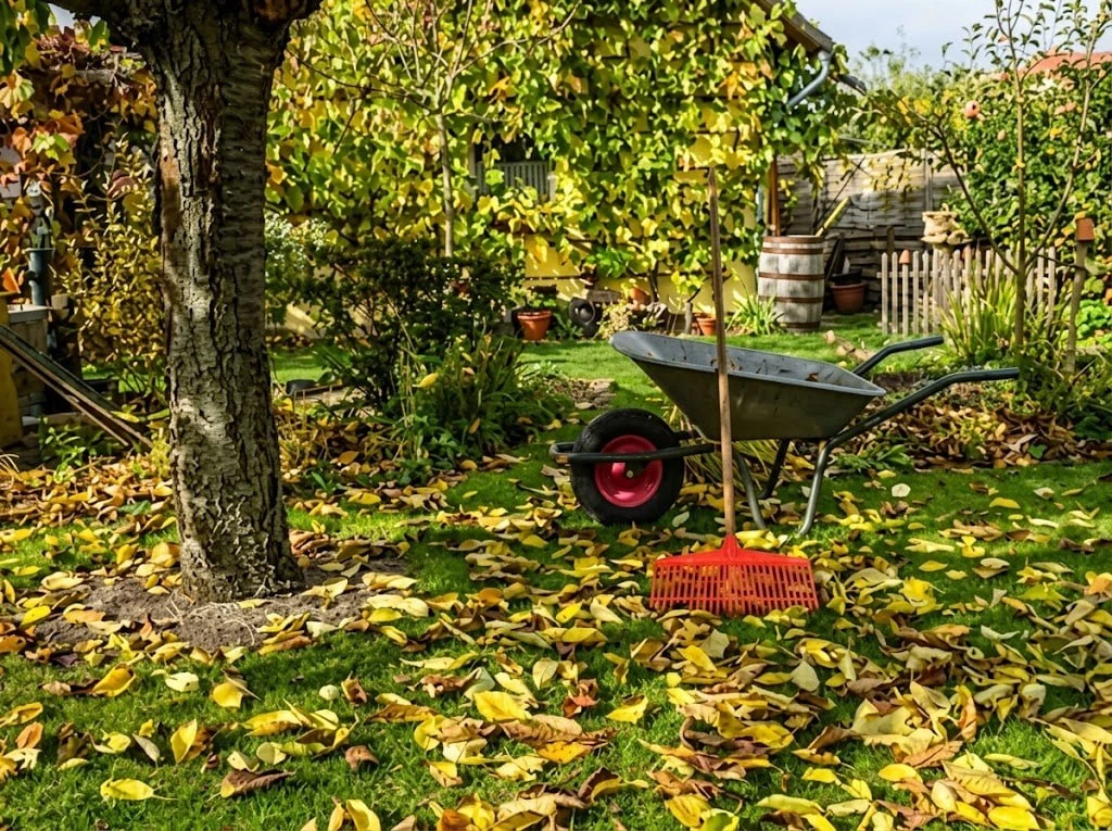 🌳 7 признаков готовности сада к зиме