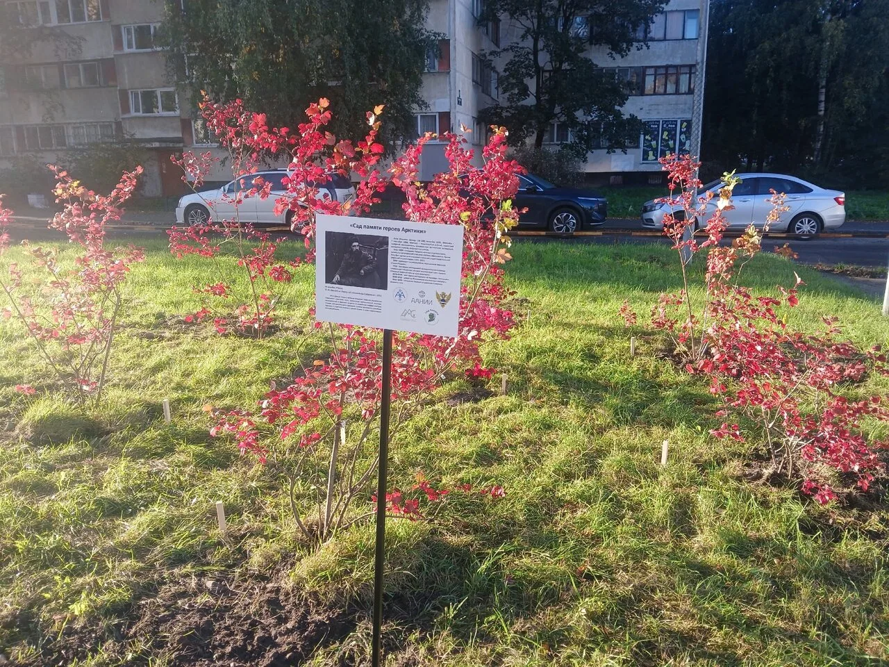 На Васильевском острове появился сад памяти героев Арктики 🌳