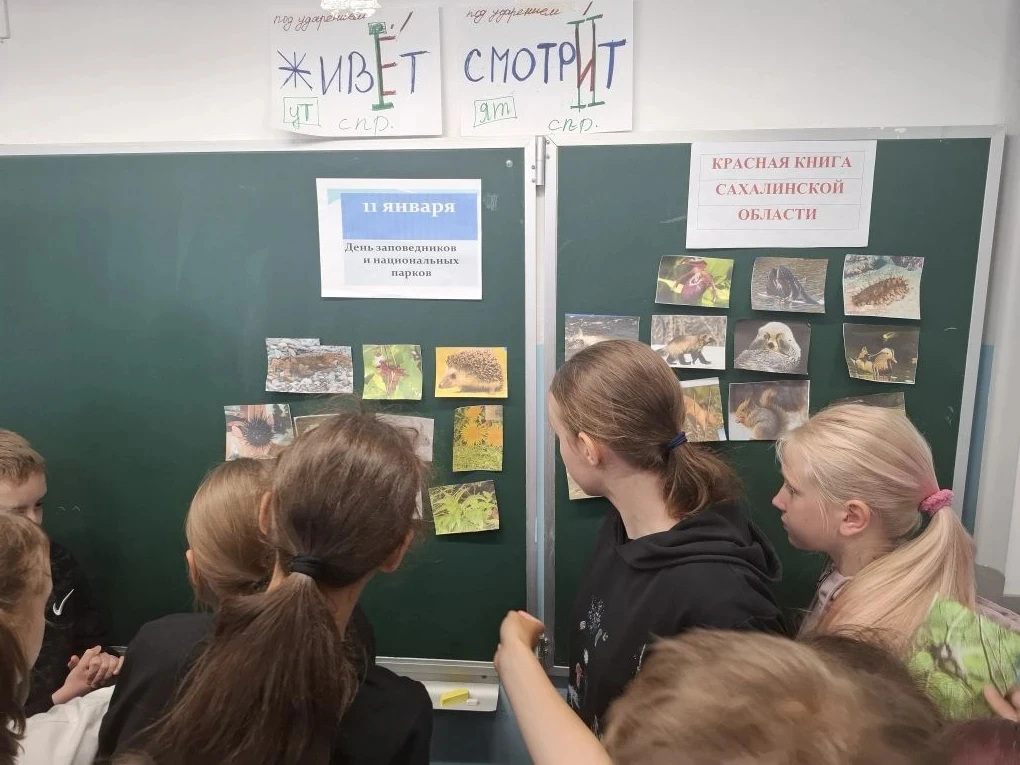 🌲 Кружок «Наш край»: открываем тайны природы!