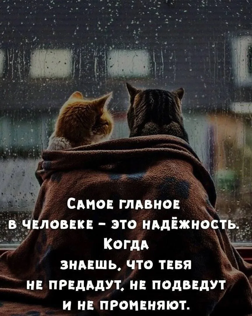 Народная мудрость
Все каналы