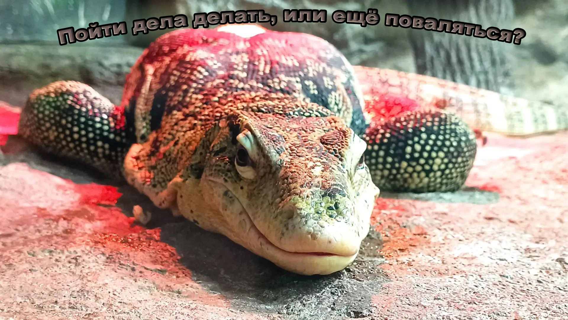 Так уж получилось (клятское везение), что со мной на работе работает оч много замечател...
