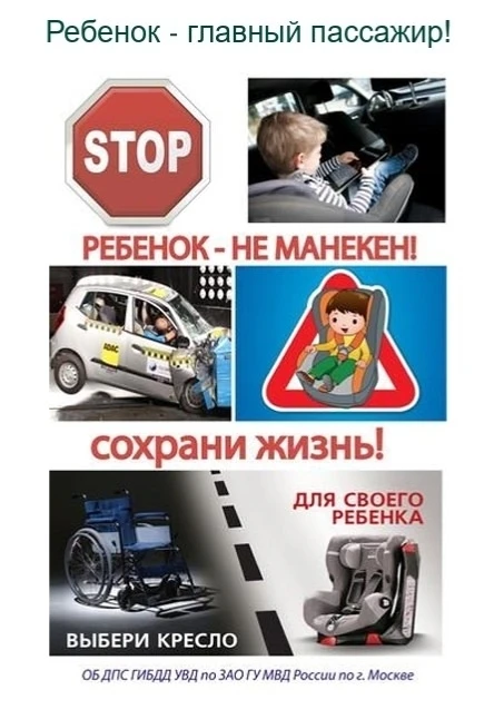 Профилактика ДДП❗️
